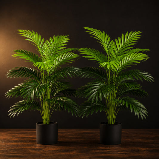 Artificial Areca Palm Pair on a dark charcoal studio background