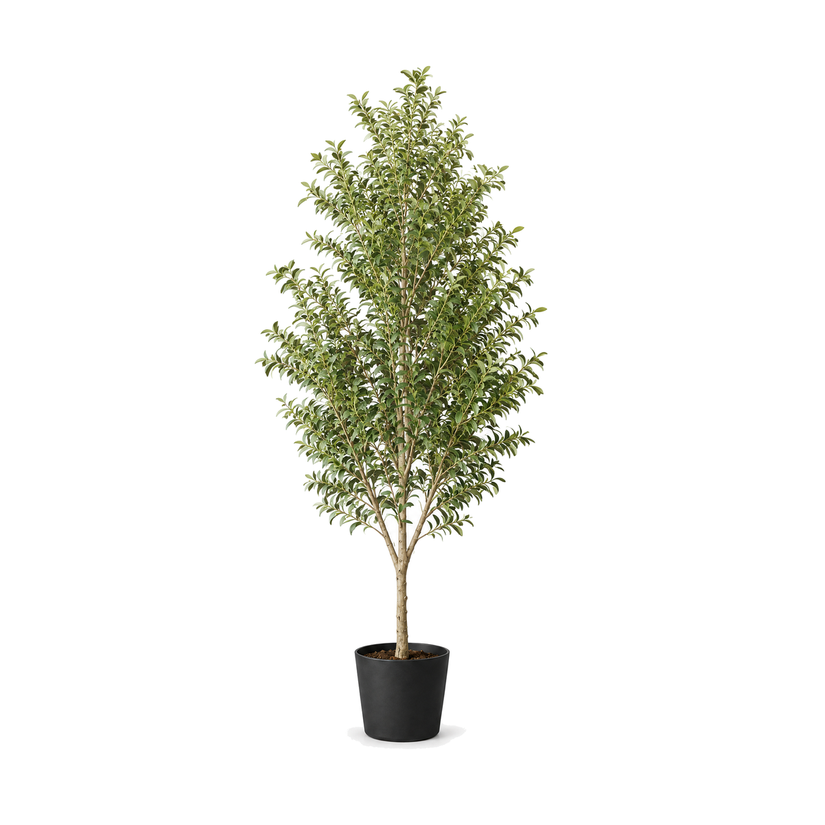 Artificial olive tree on a white background