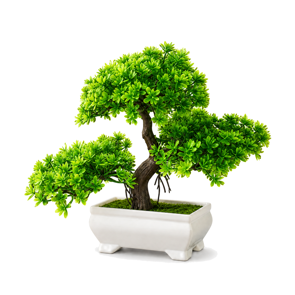 Artificial bonsai tree on a white background