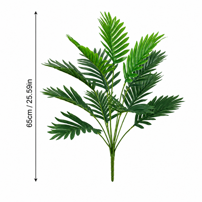 Evergreen Areca Palm – additional product view 5