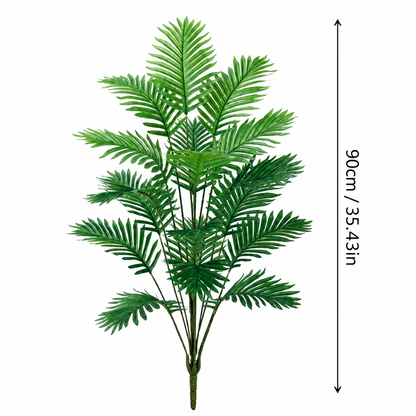 Evergreen Areca Palm – additional product view 7