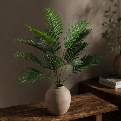 Evergreen Areca Palm – additional product view 2