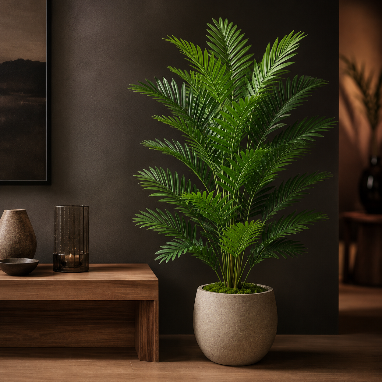 Evergreen Areca Palm – additional product view 3