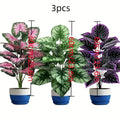 Sefcad919541c47f58519edaeac91efe3V