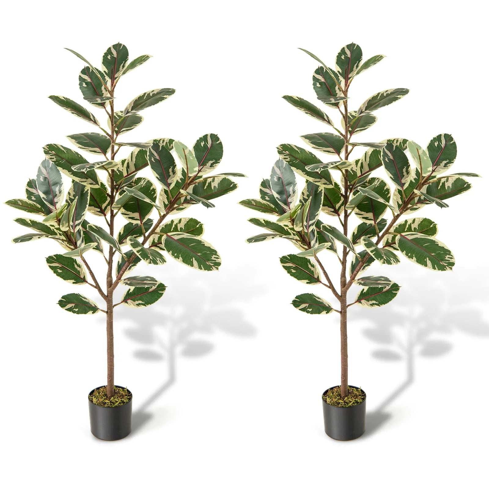 Artificial Variegated Ficus Pair – additional product view 4