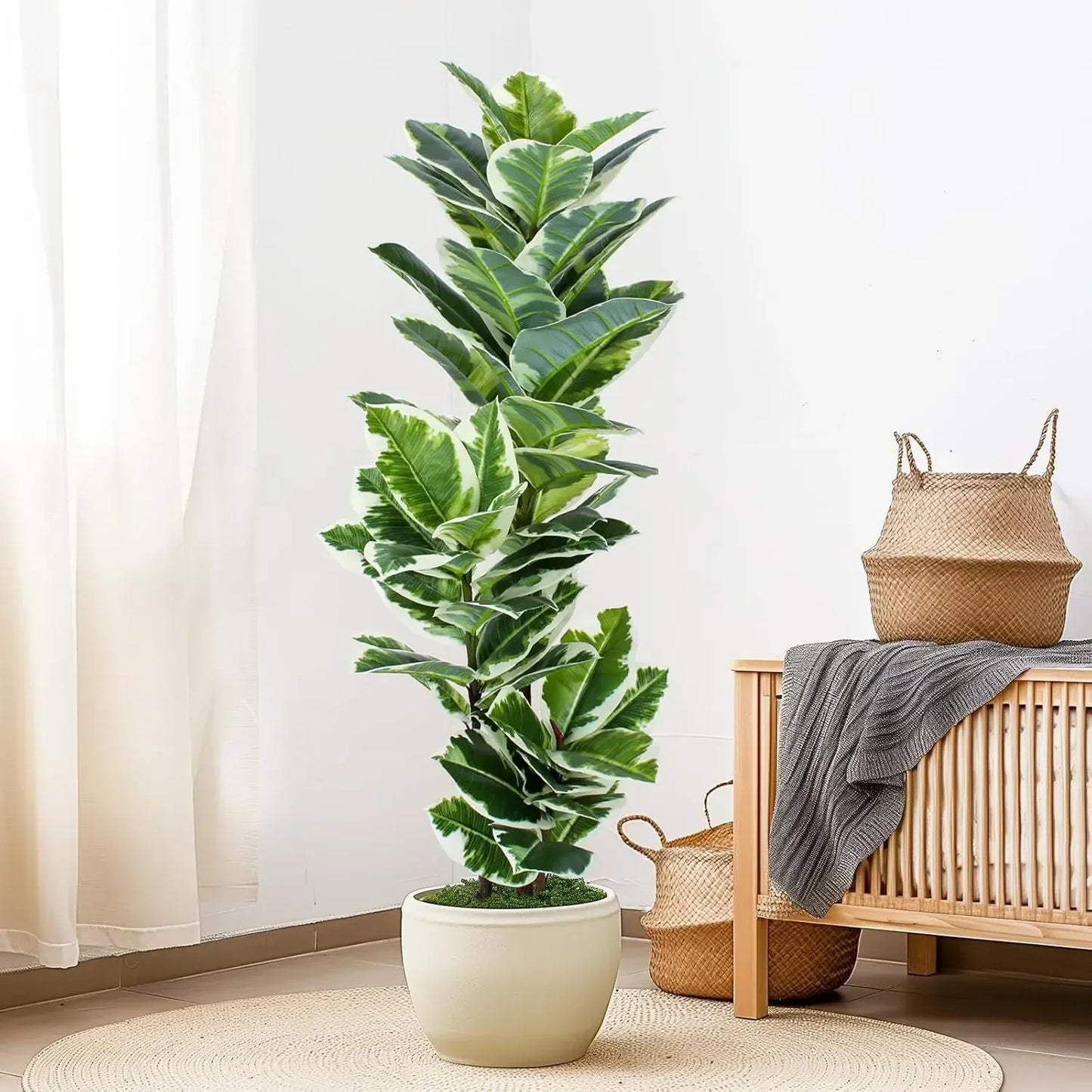 Artificial Variegated Rubber Plant – additional product view 2