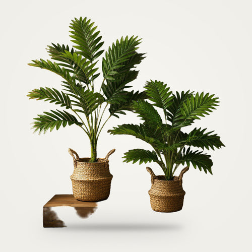 Artificial areca palm in pot on a plain soft white background