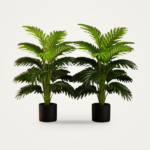 Artificial areca palm pair on a plain soft white background