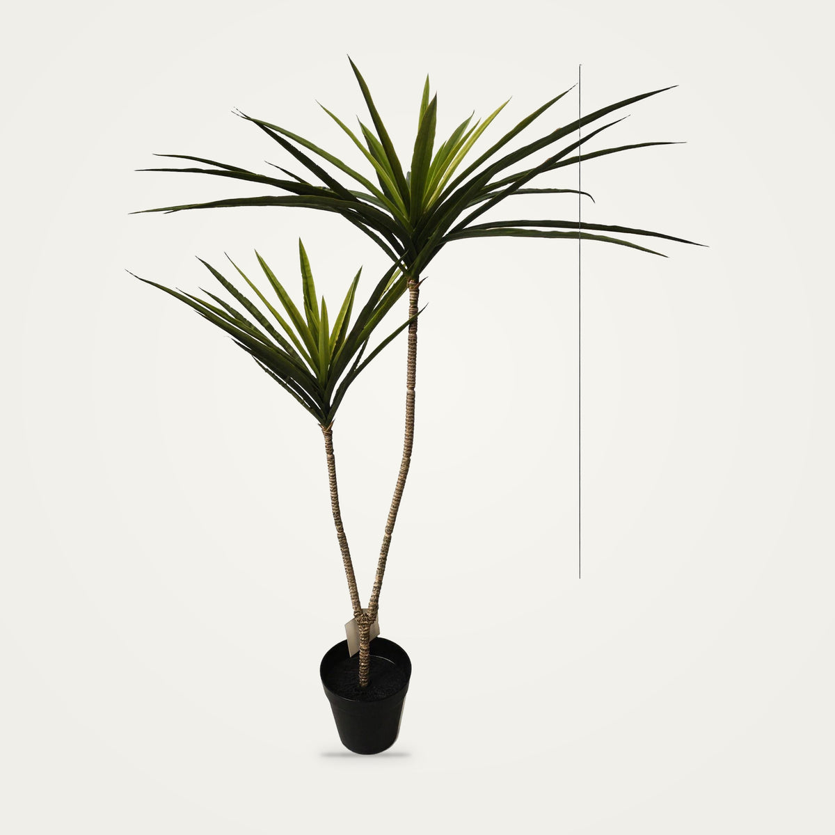 Artificial dracaena plant, 2-Heads Green option, on a plain soft white background