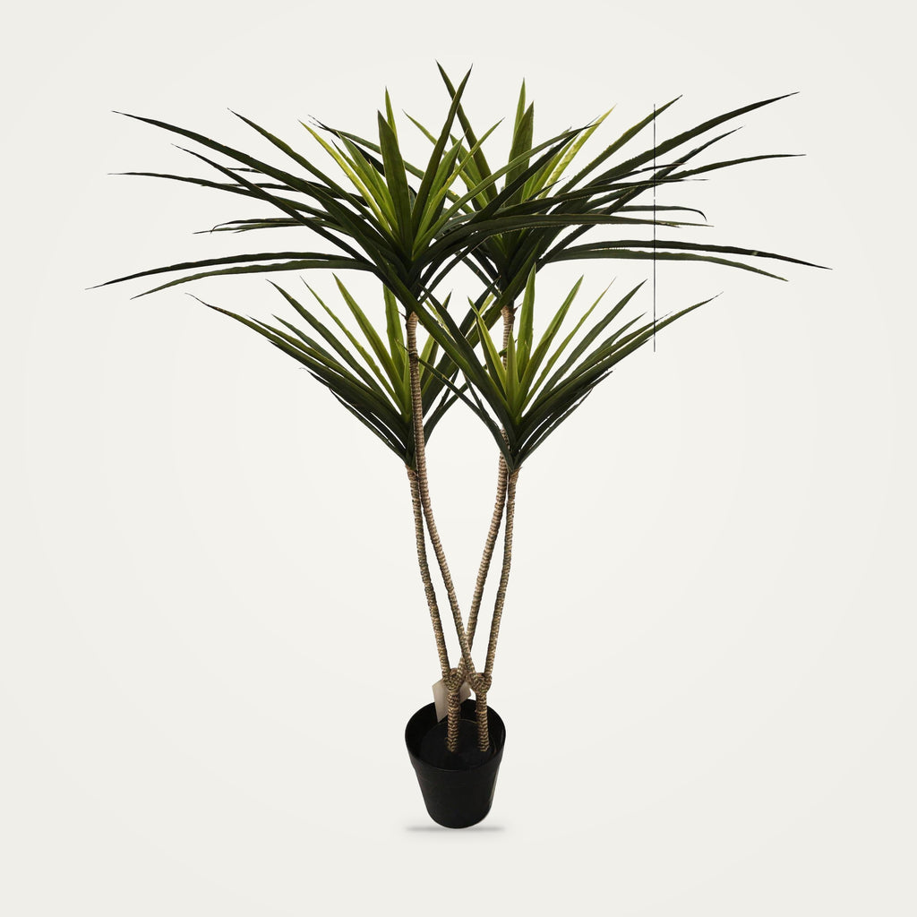 Artificial dracaena plant, 2-Heads Green Two option, on a plain soft white background