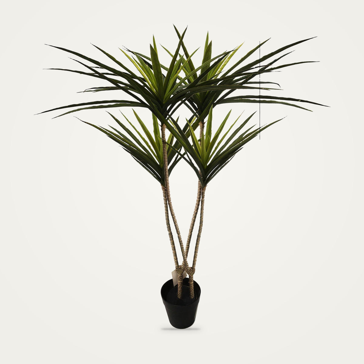 Artificial dracaena plant, 2-Heads Green Two option, on a plain soft white background