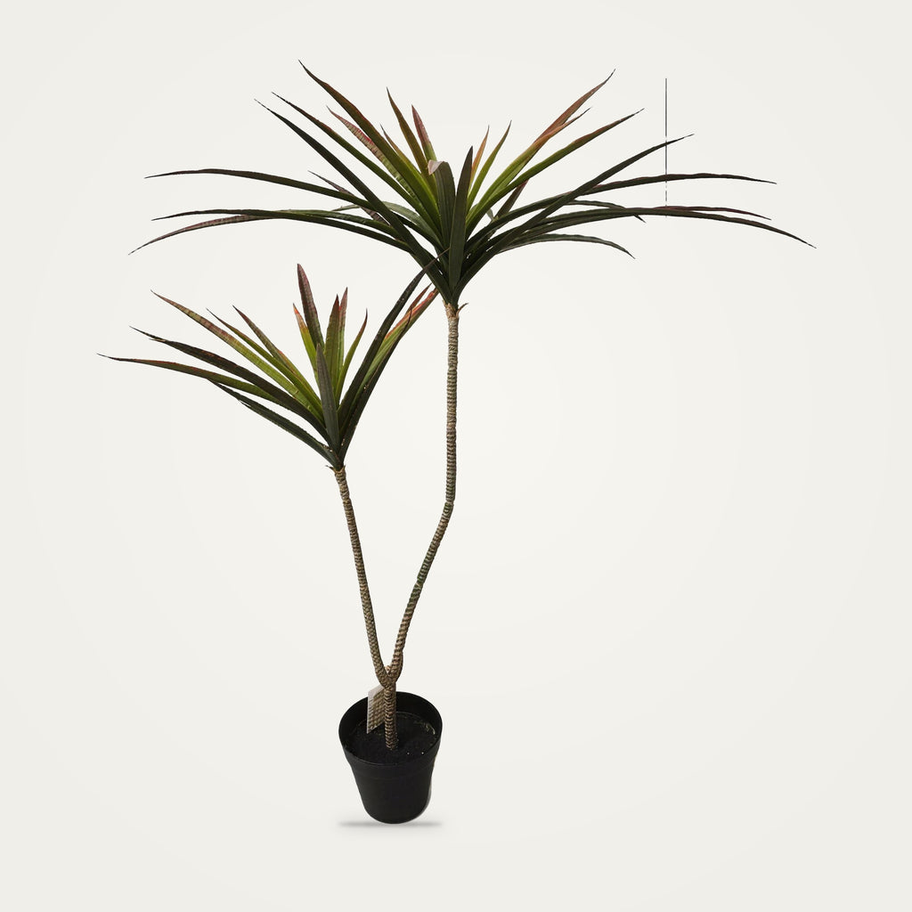 Artificial dracaena plant, 2-Heads Red option, on a plain soft white background