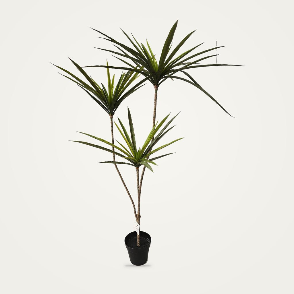 Artificial dracaena plant, 3-Heads Green option, on a plain soft white background