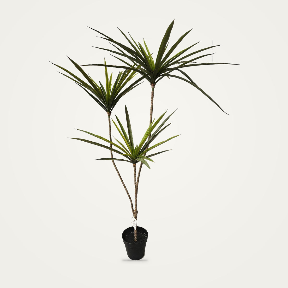 Artificial dracaena plant, 3-Heads Green option, on a plain soft white background