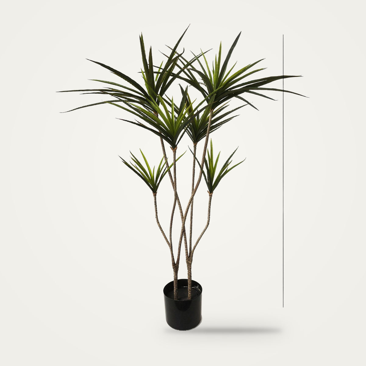 Artificial dracaena plant, 3-Heads Green Two option, on a plain soft white background