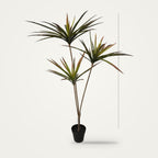 Artificial dracaena plant, 3-Heads Red option, on a plain soft white background