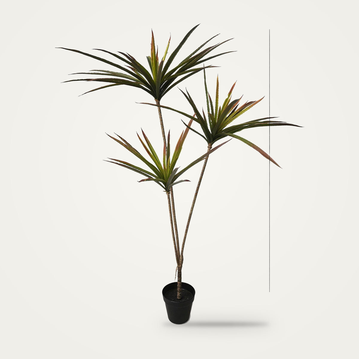 Artificial dracaena plant, 3-Heads Red option, on a plain soft white background