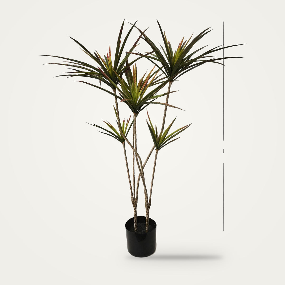 Artificial dracaena plant, 3-Heads Red Two option, on a plain soft white background
