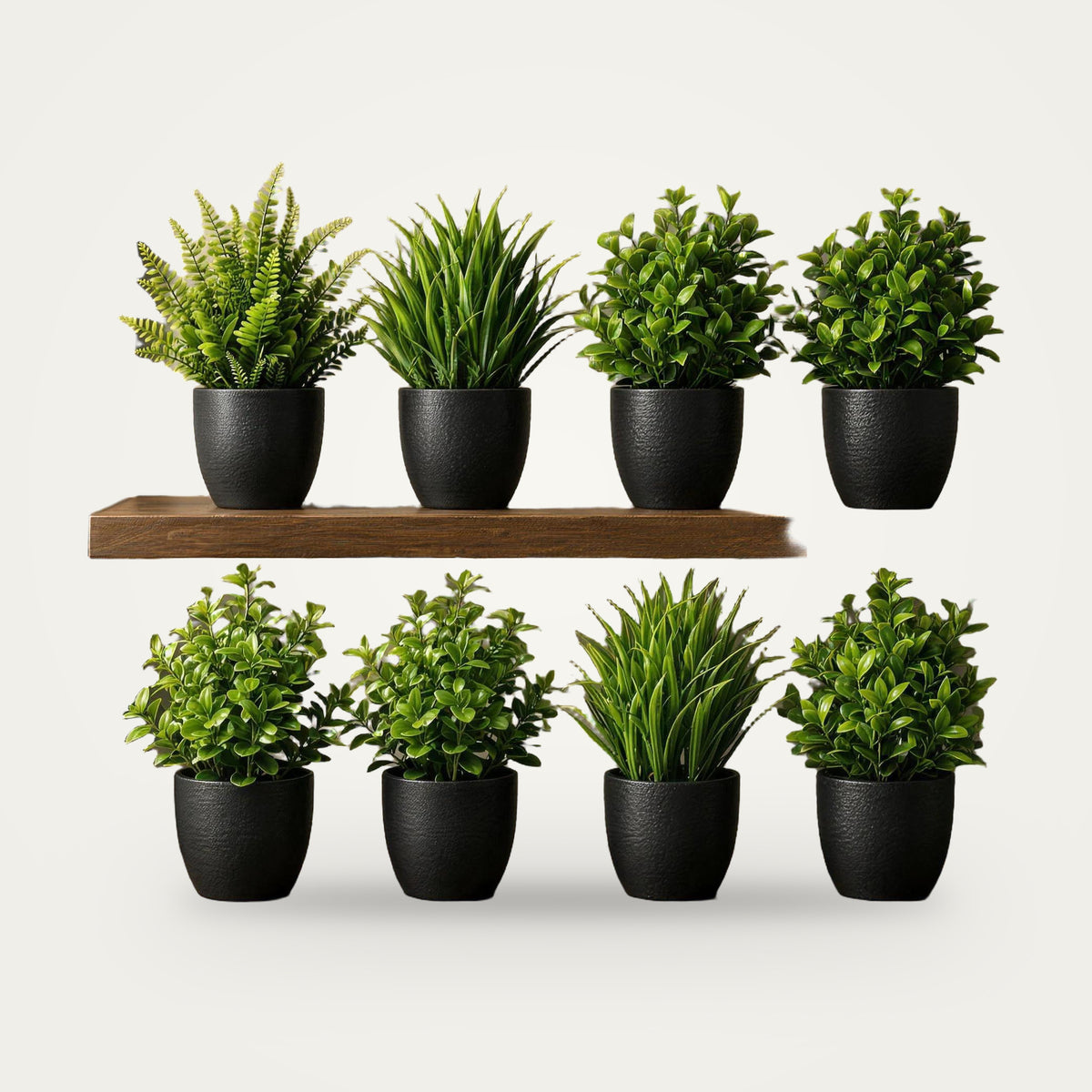 Artificial mini plant set, Black option, on a plain soft white background