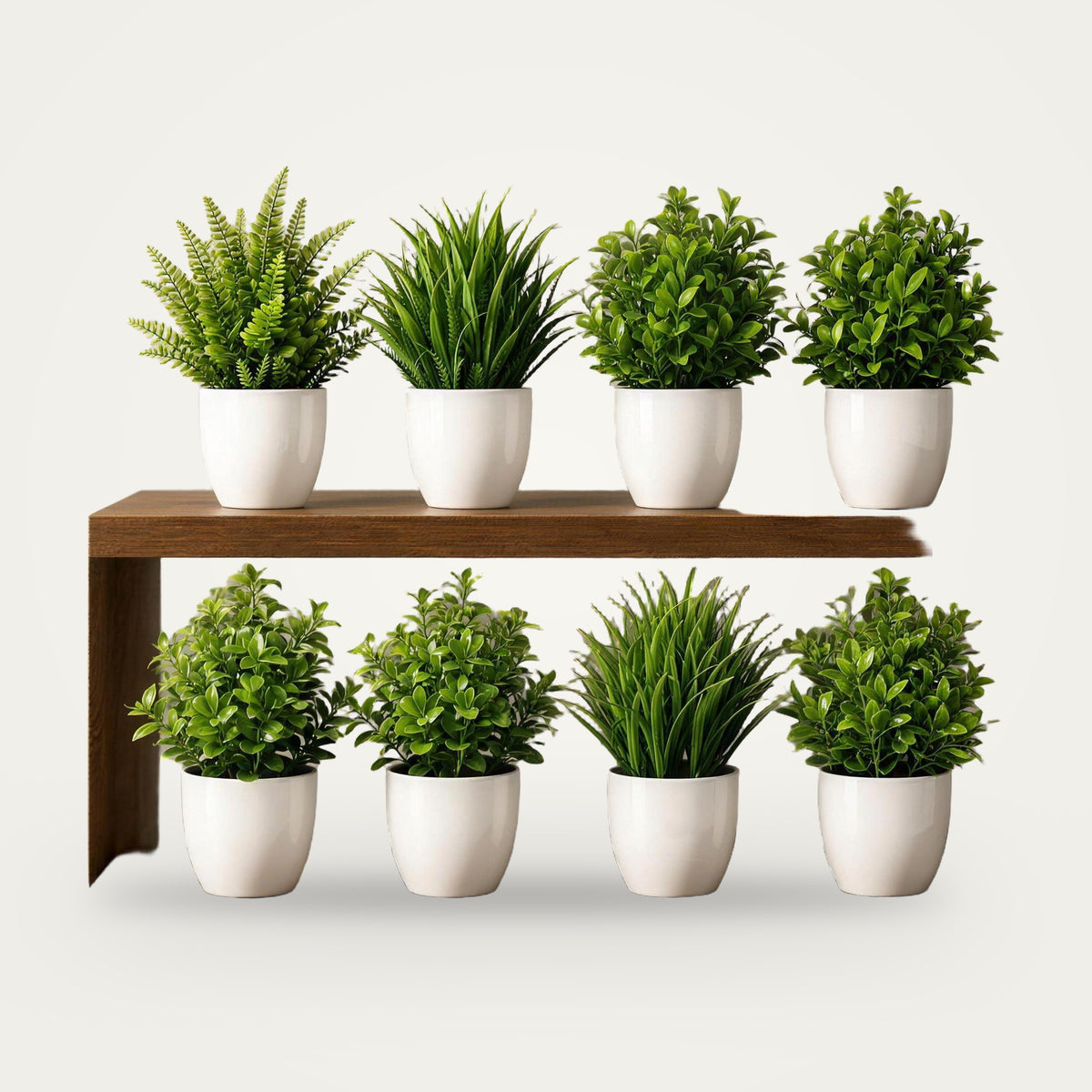Artificial mini plant set, White option, on a plain soft white background