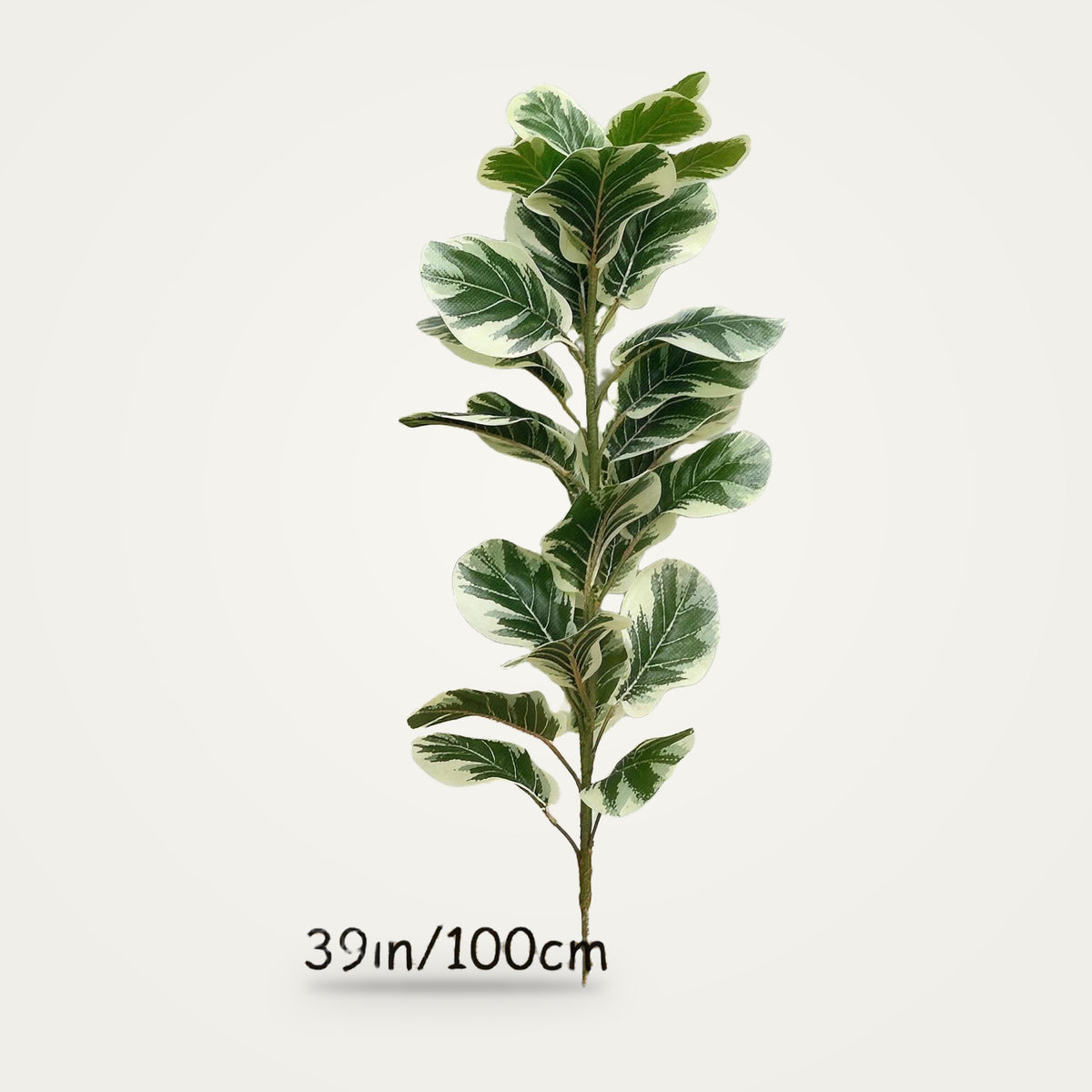 Artificial variegated rubber plant, 100cm option, on a plain soft white background