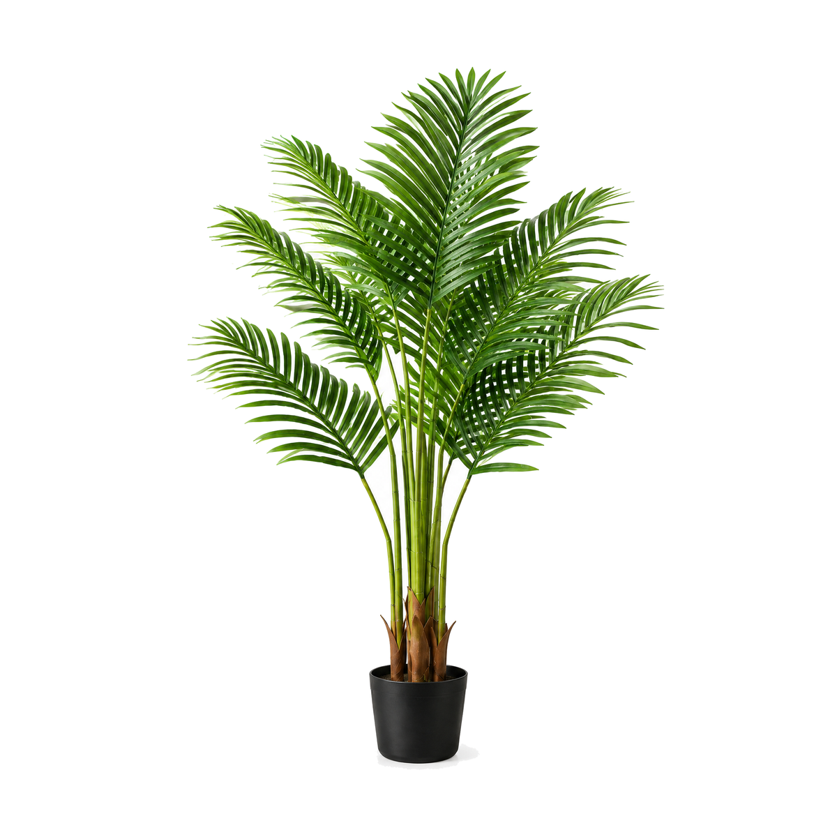 Artificial tropical floor plant on a white background