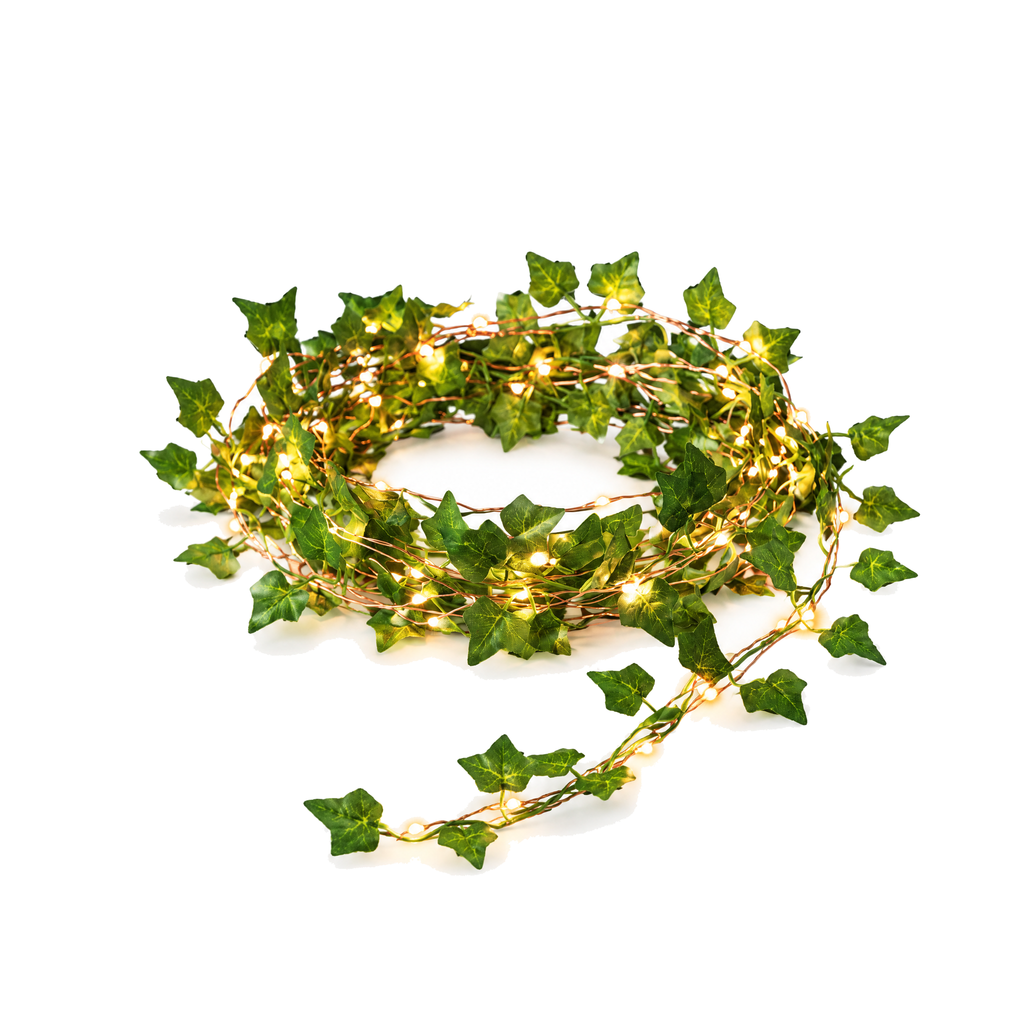 Ivy leaf fairy lights on a white background