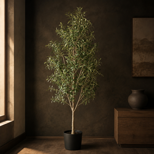 Evergreen Olive Tree styled in a warm, premium interior