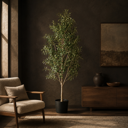 Evergreen Olive Tree shown in a styled room for scale