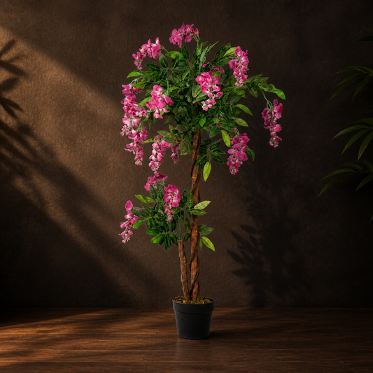 Evergreen Wisteria Tree on a dark walnut floor with warm studio lighting