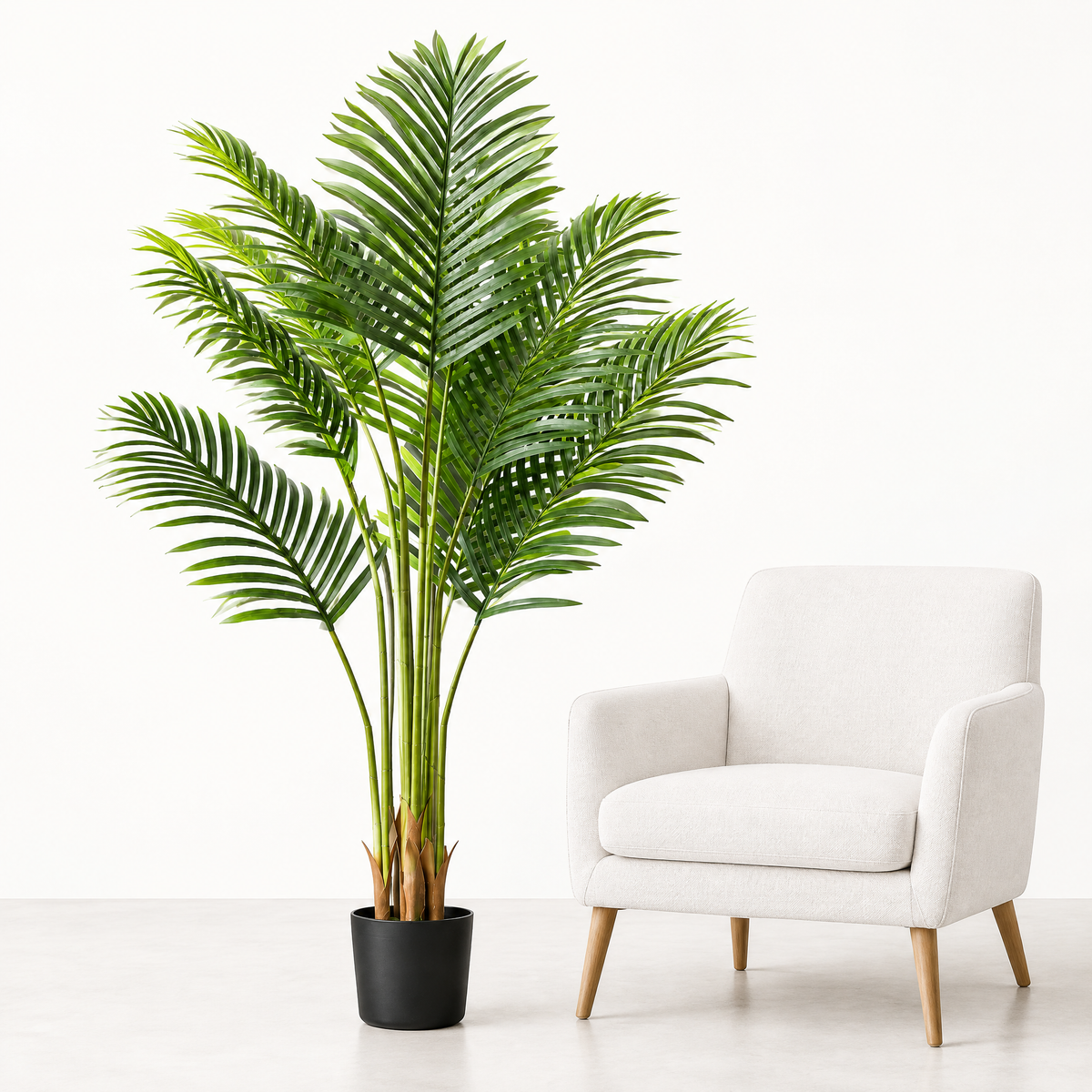 Tropical floor plant beside an armchair for scale