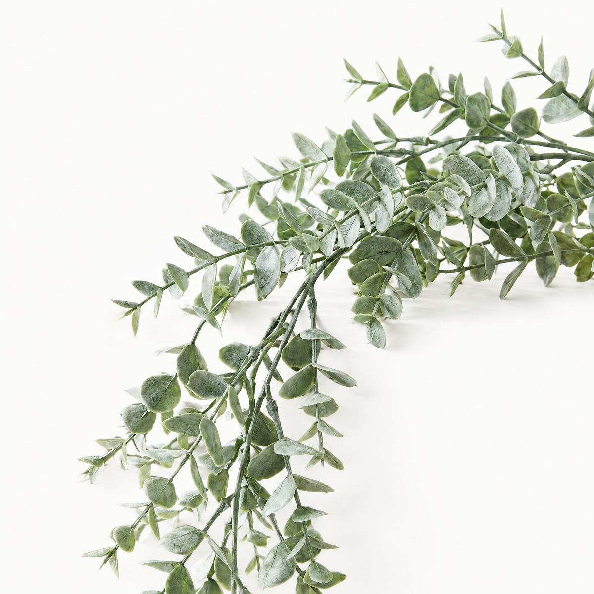 Artificial eucalyptus vine, alternative view