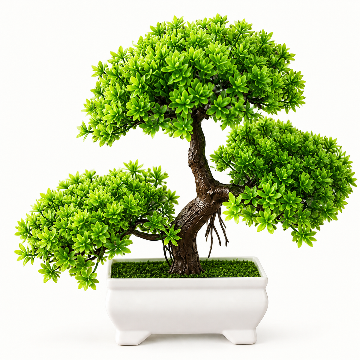 Close-up of the bonsai foliage and trunk