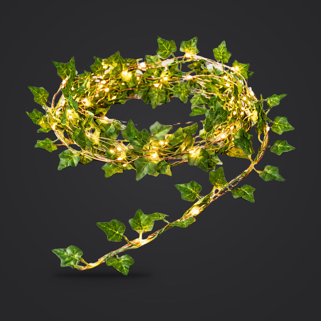 Ivy leaf fairy lights on a plain charcoal background